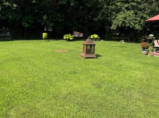 Kemper M.'s landscaping services service result