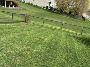 Cheryl G.'s lawn care services service result