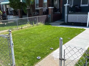 Marsha S.'s lawn care service result