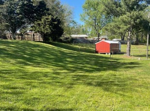 Carolyn C.'s turf maintenance service result