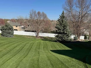 Bea W.'s lawn maintenance service result