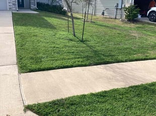 Corey P.'s grass maintenance service result