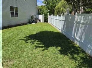 Nagg M.'s lawn care service result