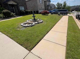 Stacy N.'s turf care service result