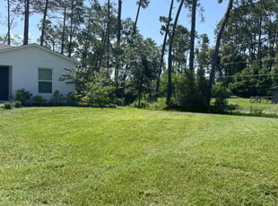 Dave C.'s lawn care services service result