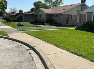 Curtis P.'s lawn care service result