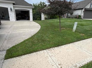 Alex F.'s lawn service service result