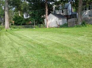 Yvette M.'s lawn service service result