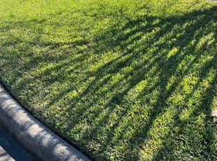 Valerie V.'s lawn care service result