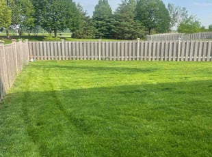 Jeanne K.'s lawn care services service result
