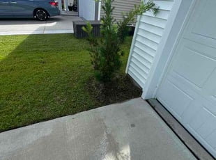 Jeff R.'s Cleanup service result