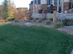 Mr. N.'s Bush Trimming service result