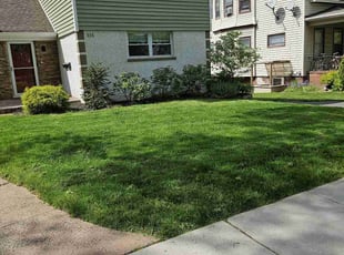 Donna F.'s grass cutting service result