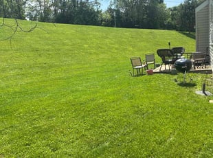 Bonnie S.'s landscaping service result