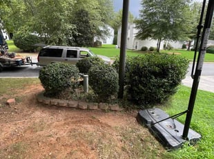 Aaron R.'s Bush Trimming service result