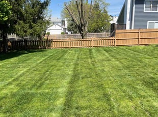 John A.'s lawn care services service result