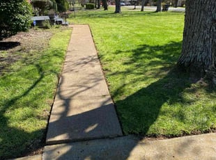 Janell H.'s turf maintenance service result