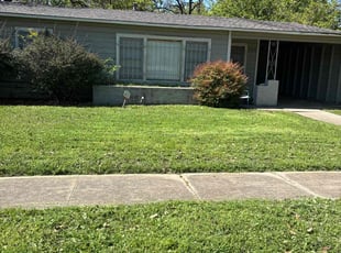 James J.'s grass maintenance service result