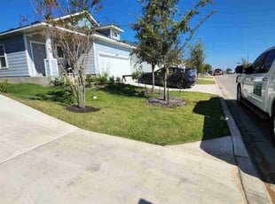 David S.'s lawn care services service result