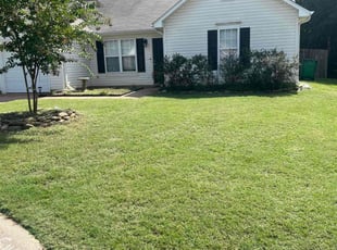 Chris H.'s lawn service service result