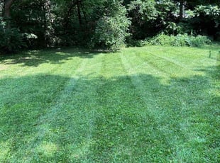 Sheila M.'s lawn care service result