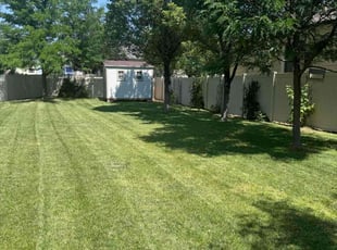 Wendy R.'s lawn care service result