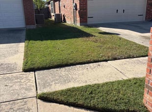 Judith C.'s lawn maintenance service result