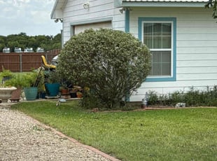 Jess W.'s Bush Trimming service result