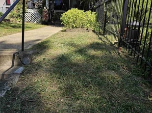 Randy A.'s lawn maintenance service result