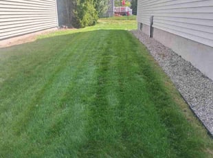 Sabrina R.'s turf care service result