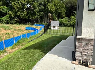 Emily P.'s turf care service result