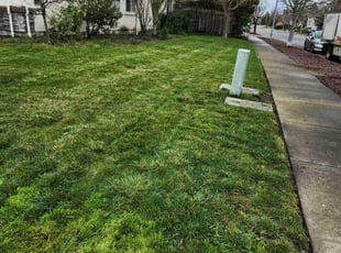 Leslie C.'s grass cutting service result