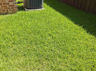 Vicki K.'s lawn service service result