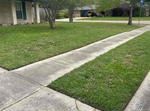 Ken R.'s grass cutting service result