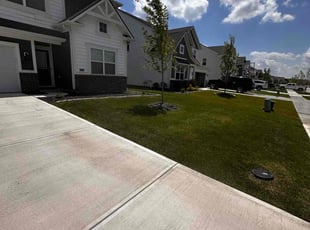 Kedric A.'s gardening service service result