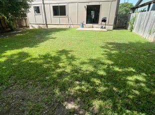 Alexandra S.'s turf care service result