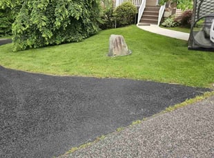 Eti I.'s turf care service result