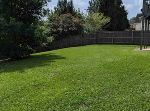 Martin P.'s yard service service result