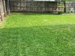 Keena M.'s turf maintenance service result