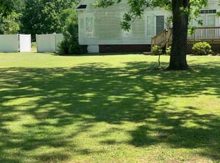 Jessenia G.'s lawn care service result