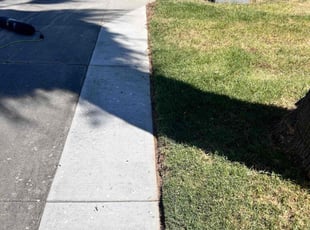 Matthew C.'s lawn maintenance service result