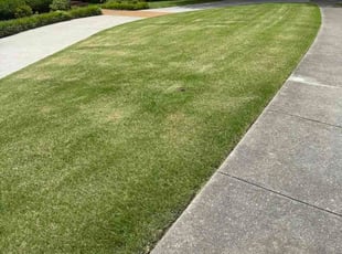 Kerry D.'s lawn service service result