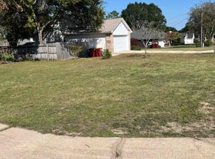Jim J.'s turf care service result