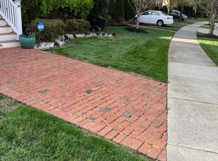 Sue M.'s lawn care service result