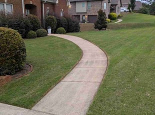 Jerry L.'s turf maintenance service result