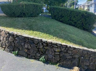 David R.'s lawn care services service result