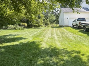 Raul R.'s lawn care service result