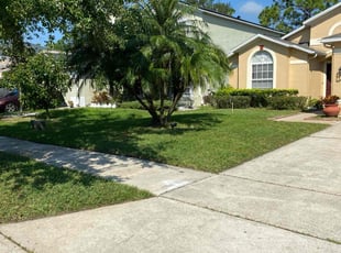 Robin B.'s lawn care services service result