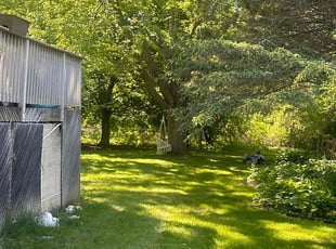 David H.'s grass cutting service result