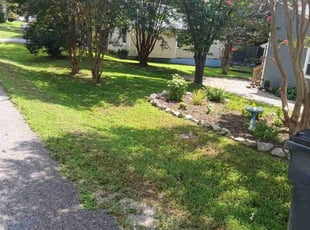 Ashley B.'s lawn service service result